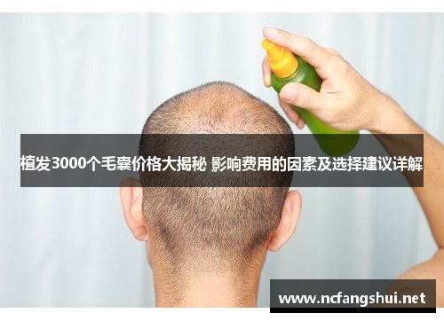 植发3000个毛囊价格大揭秘 影响费用的因素及选择建议详解