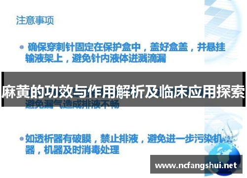 麻黄的功效与作用解析及临床应用探索 麻黄的功效与作用解析及临床应用探索
