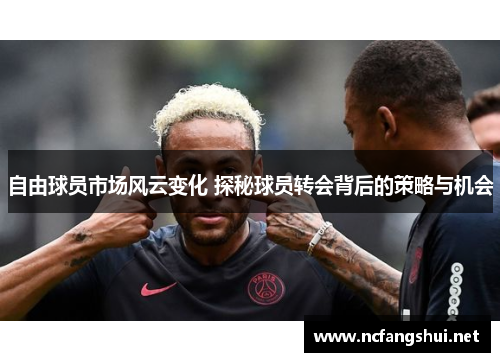 自由球员市场风云变化 探秘球员转会背后的策略与机会